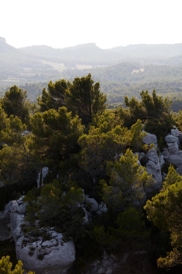 Le Mas Angelou Maussane-les-Alpilles Exterior foto