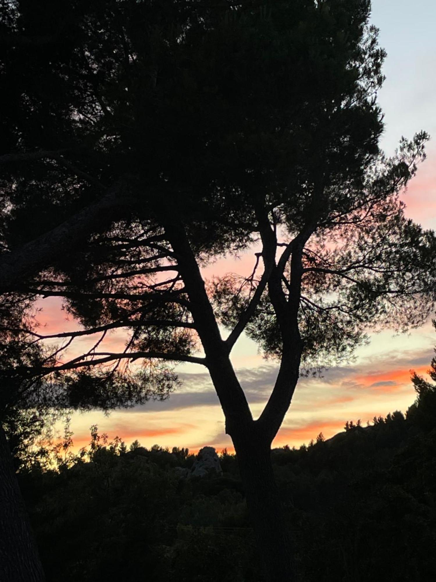 Le Mas Angelou Maussane-les-Alpilles Exterior foto